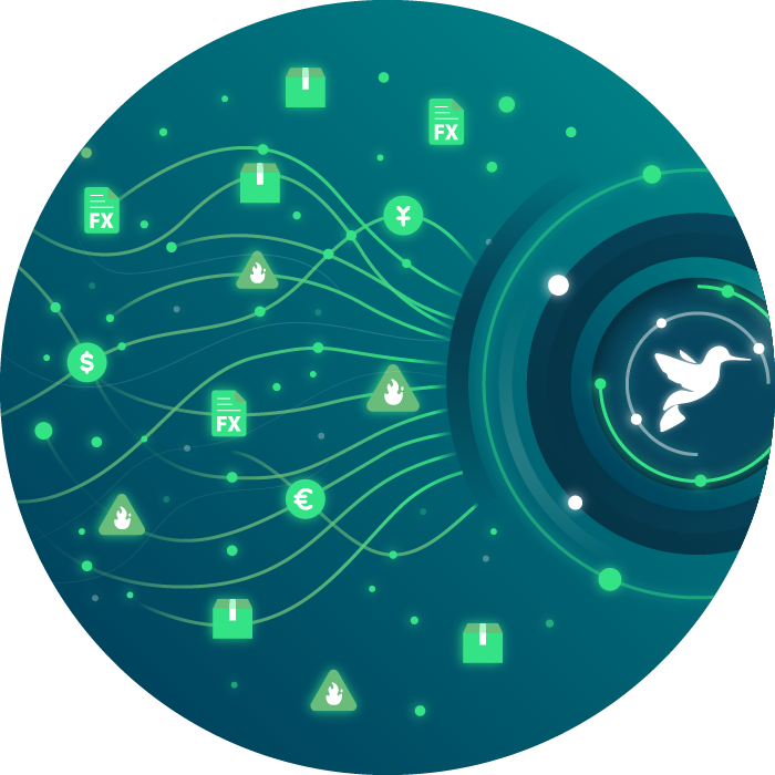 Foreign Exchange Transactions & FX Risk Management